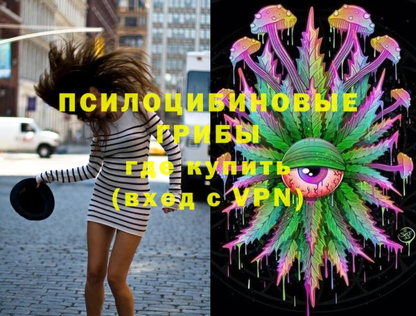 ГАЛЛЮЦИНОГЕННЫЕ ГРИБЫ Нефтегорск