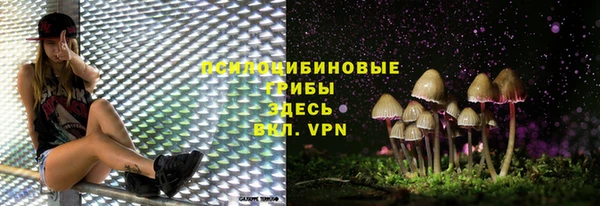 ешки Нефтекумск