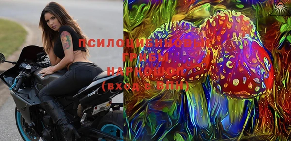 ГАЛЛЮЦИНОГЕННЫЕ ГРИБЫ Балашиха